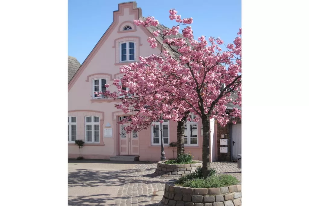 101641-Nicht zugeordnet