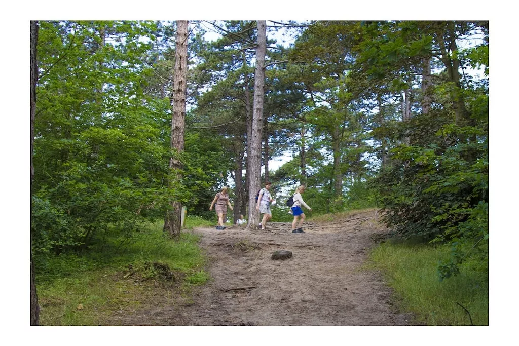 273150-Nicht zugeordnet