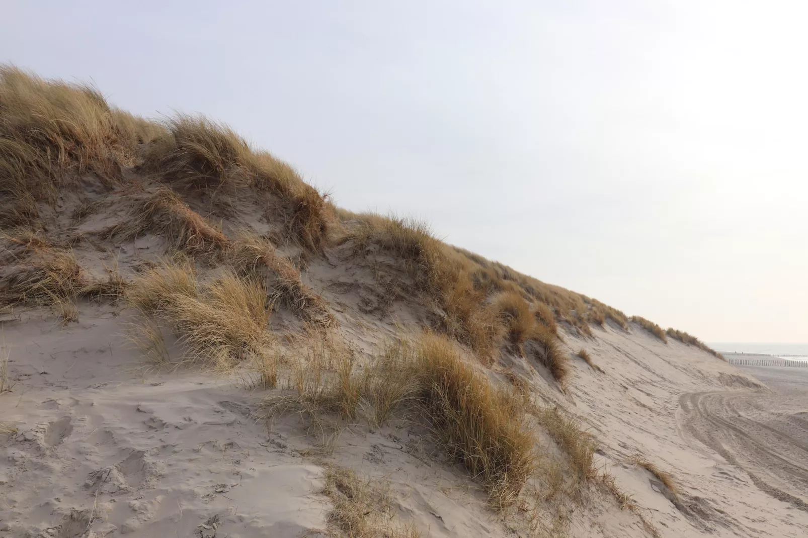 Duinchalet Ameland-Gebiete Sommer 1 km