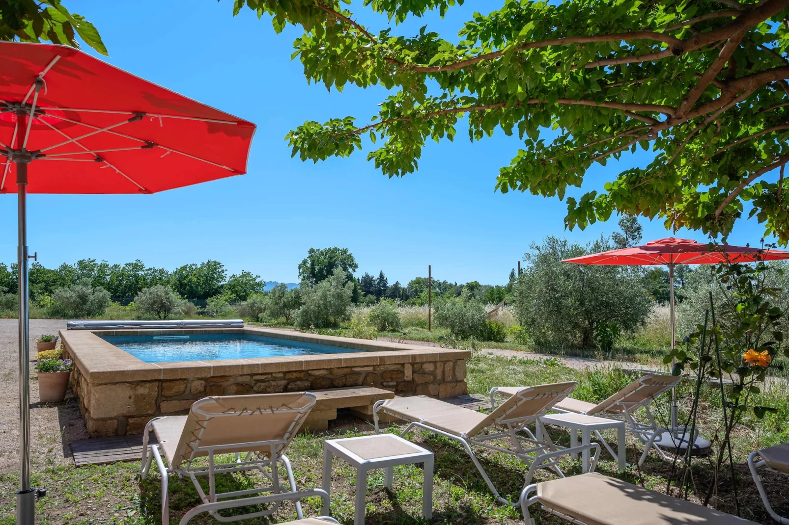 Mas du Mûrier-Piscine