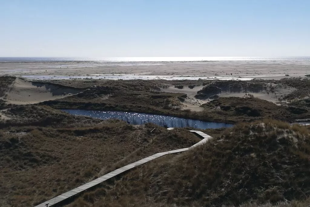 118441-Nicht zugeordnet