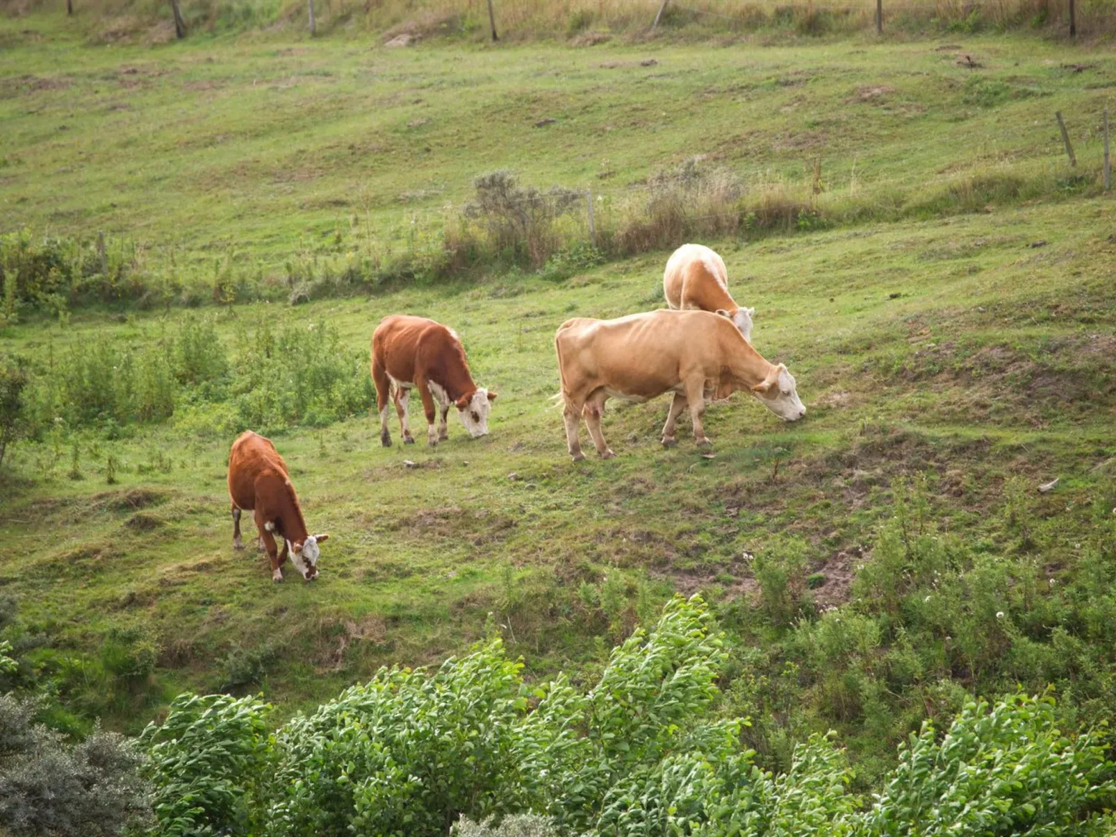 "Eeske" - 1km from the sea - Outside