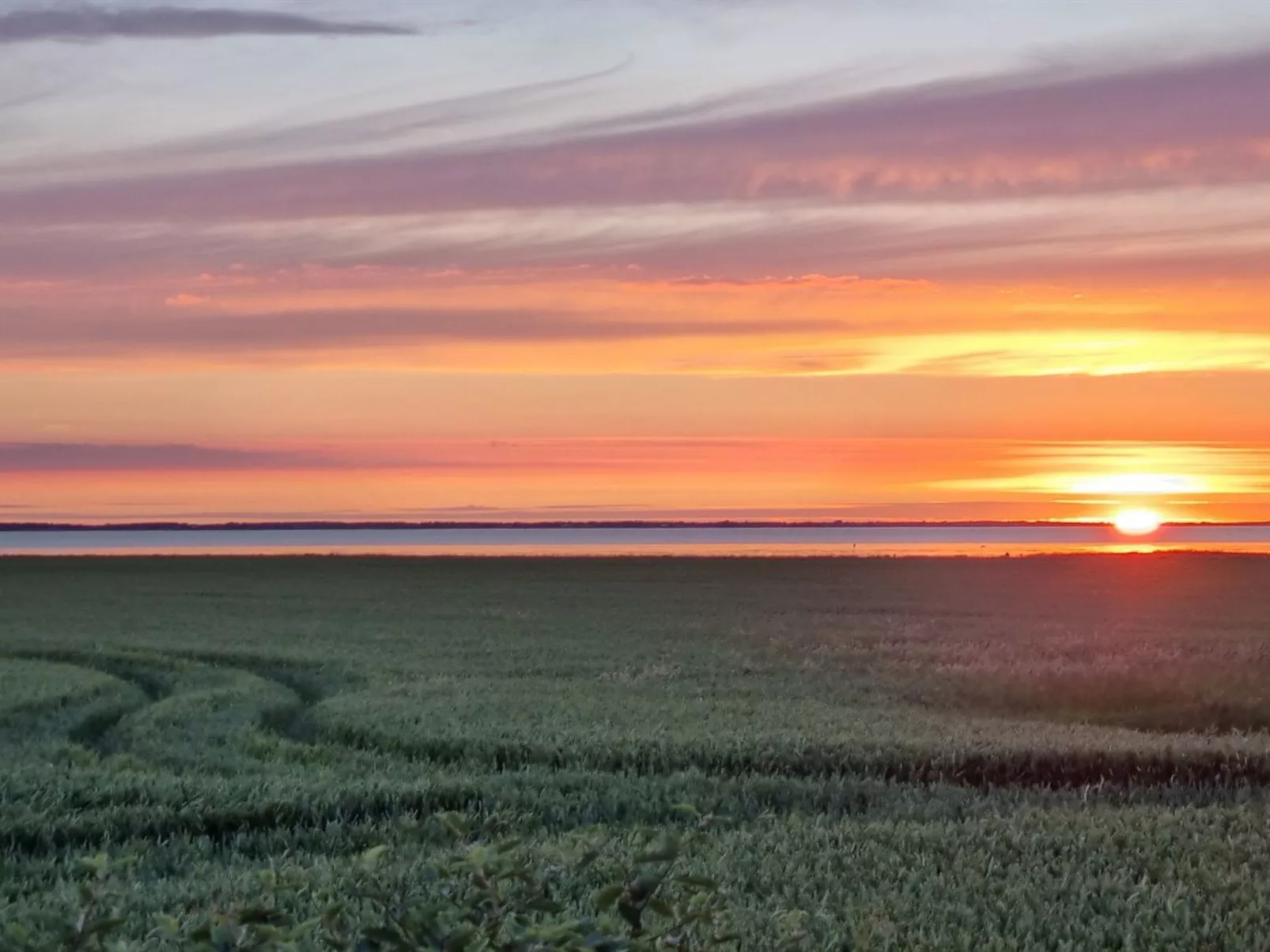 "Spase" - 23km from the sea - Draußen