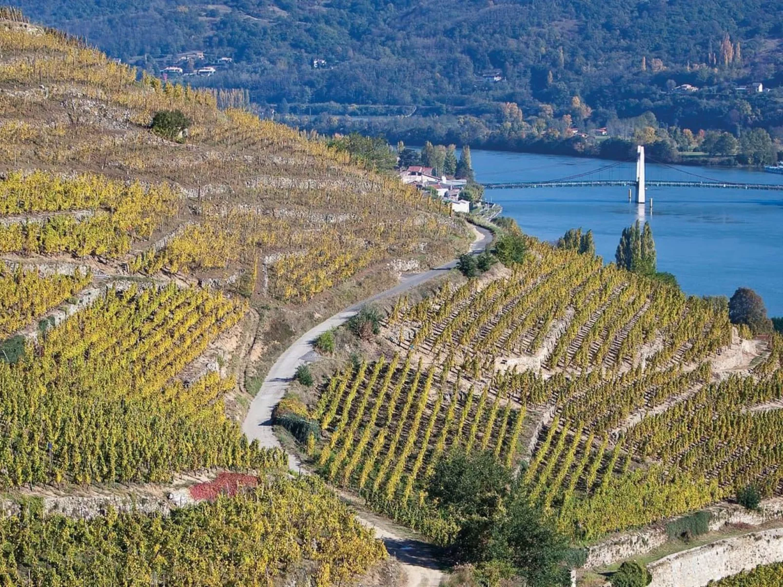 Die Ufer der Rhone - Image-tags.info