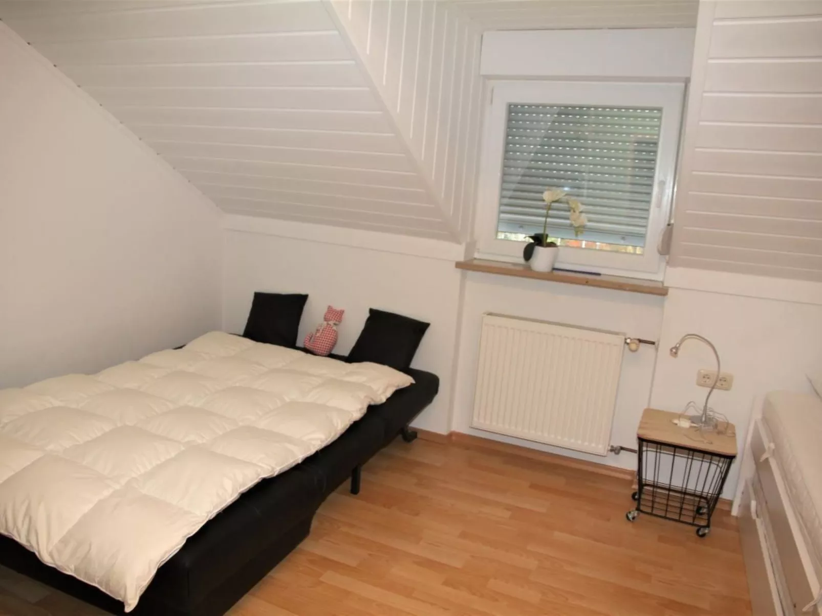 Livi - Image-tags.info