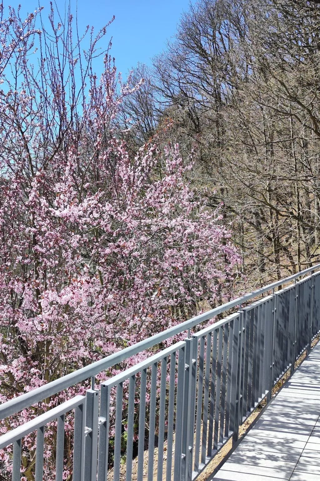 Chalet am Diemelsee - Image-tags.info