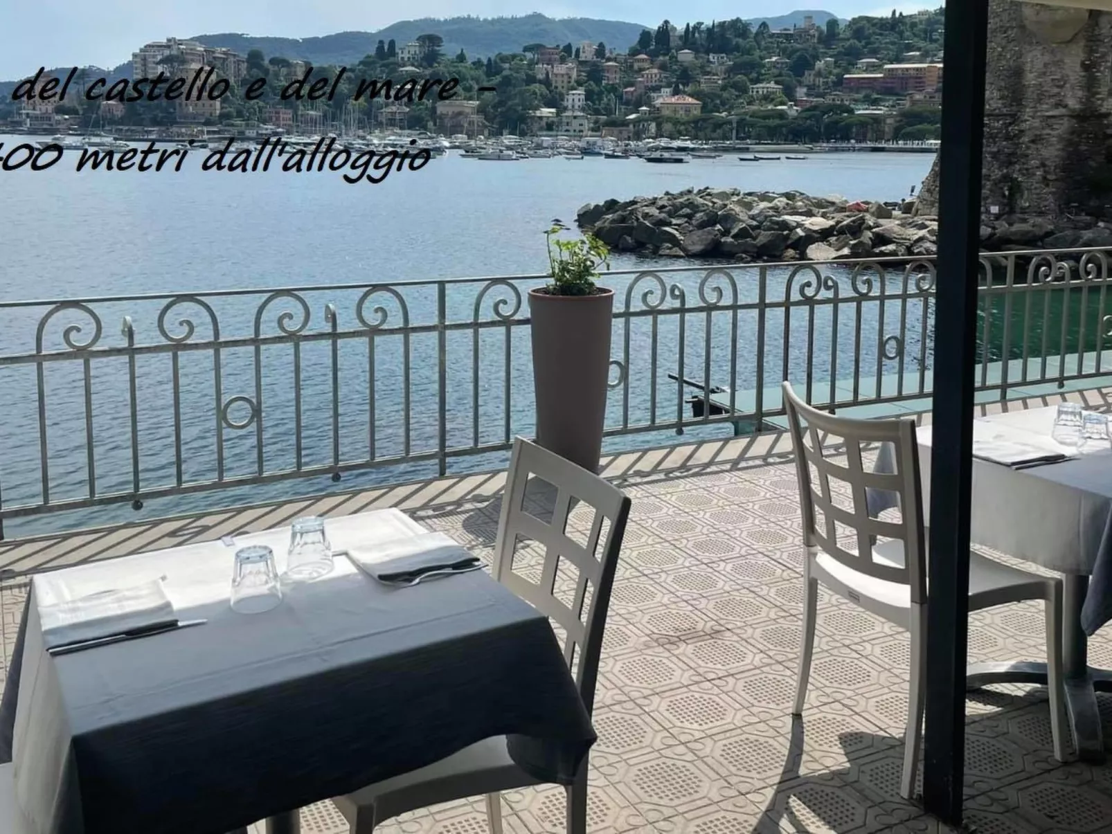 Seestern - Image-tags.info