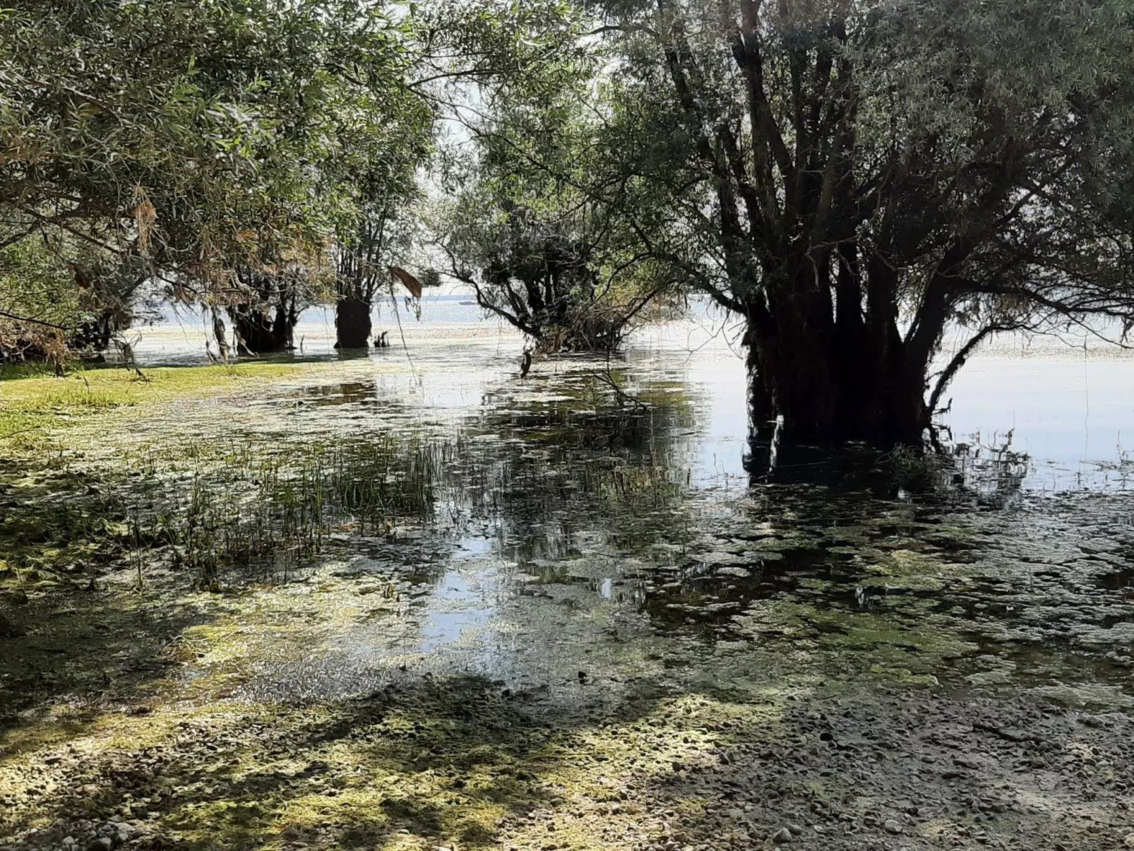 Fachwerkhaus "Charme - Image-tags.info