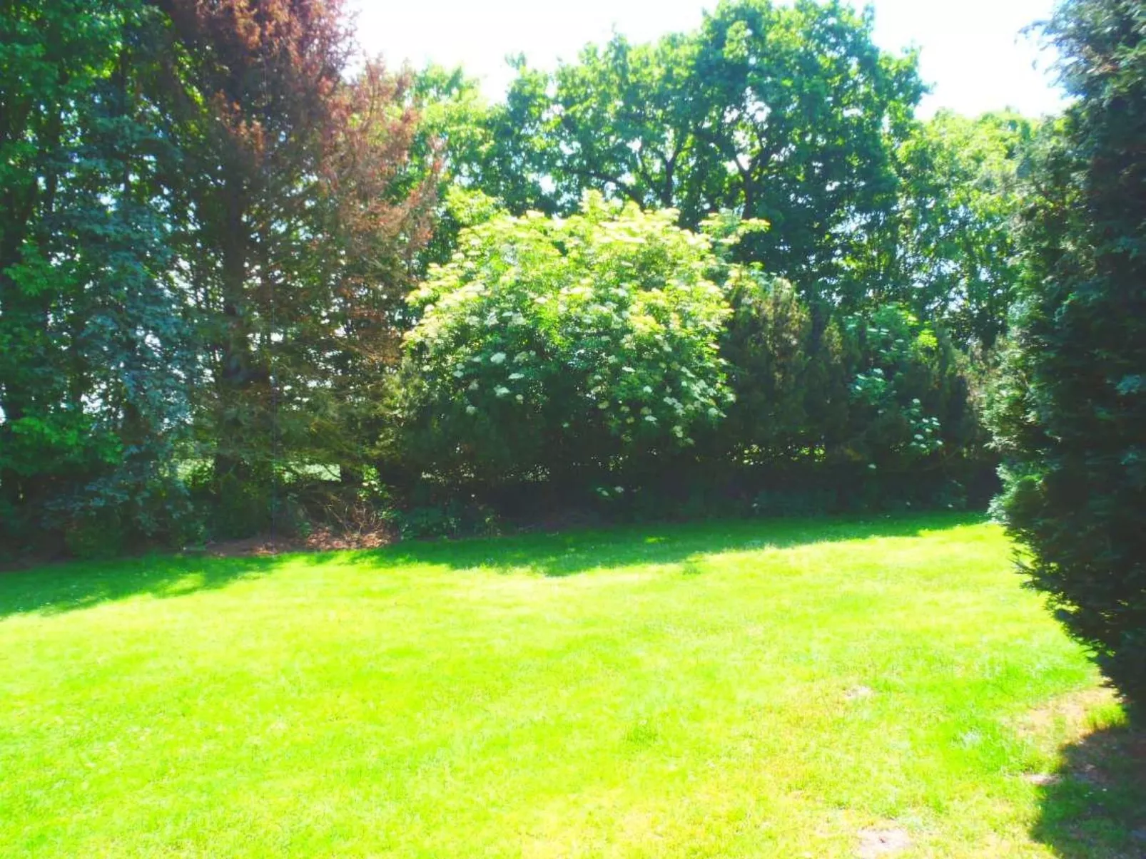 C3 - Image-tags.info