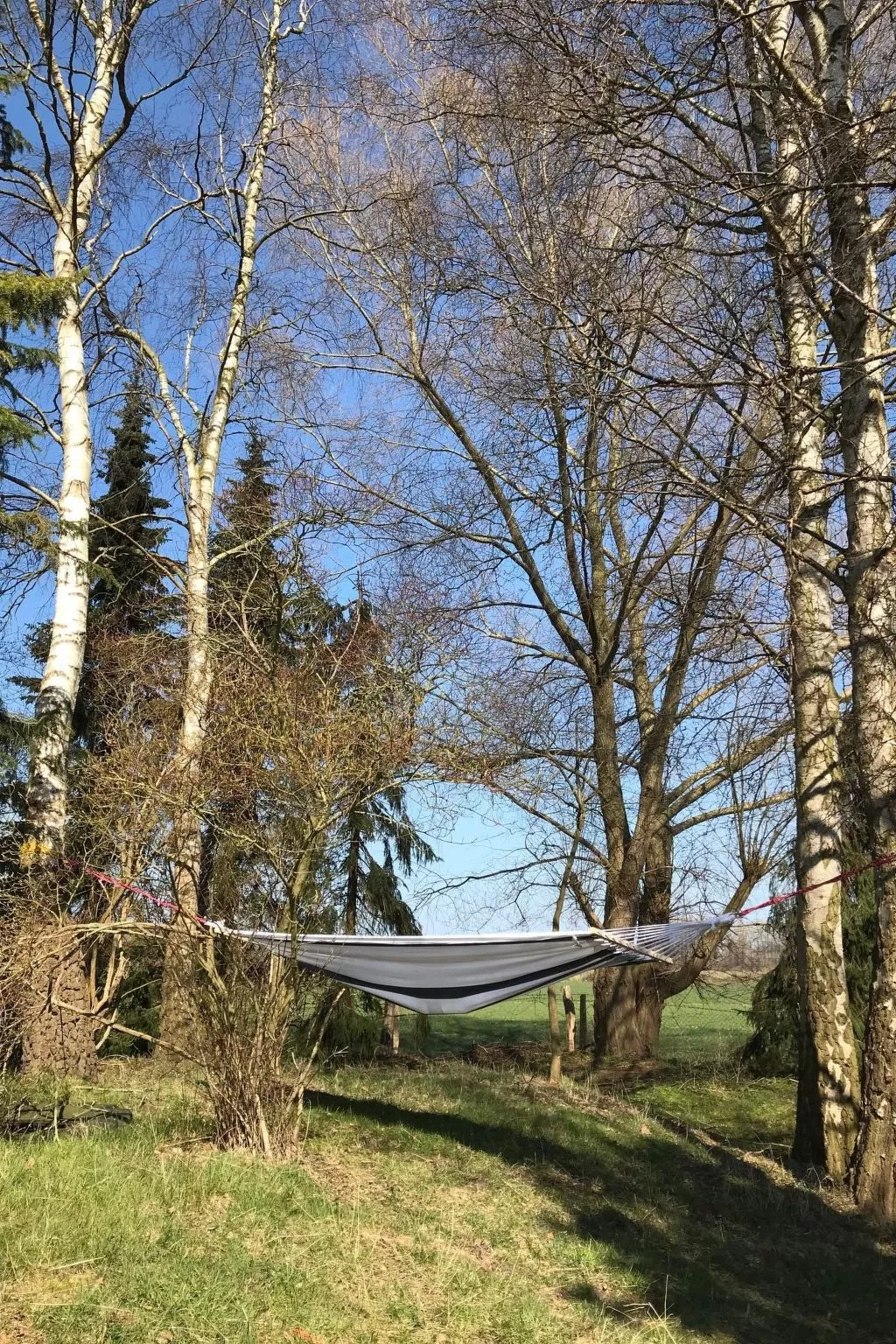 Fewo Waldblick - Image-tags.info