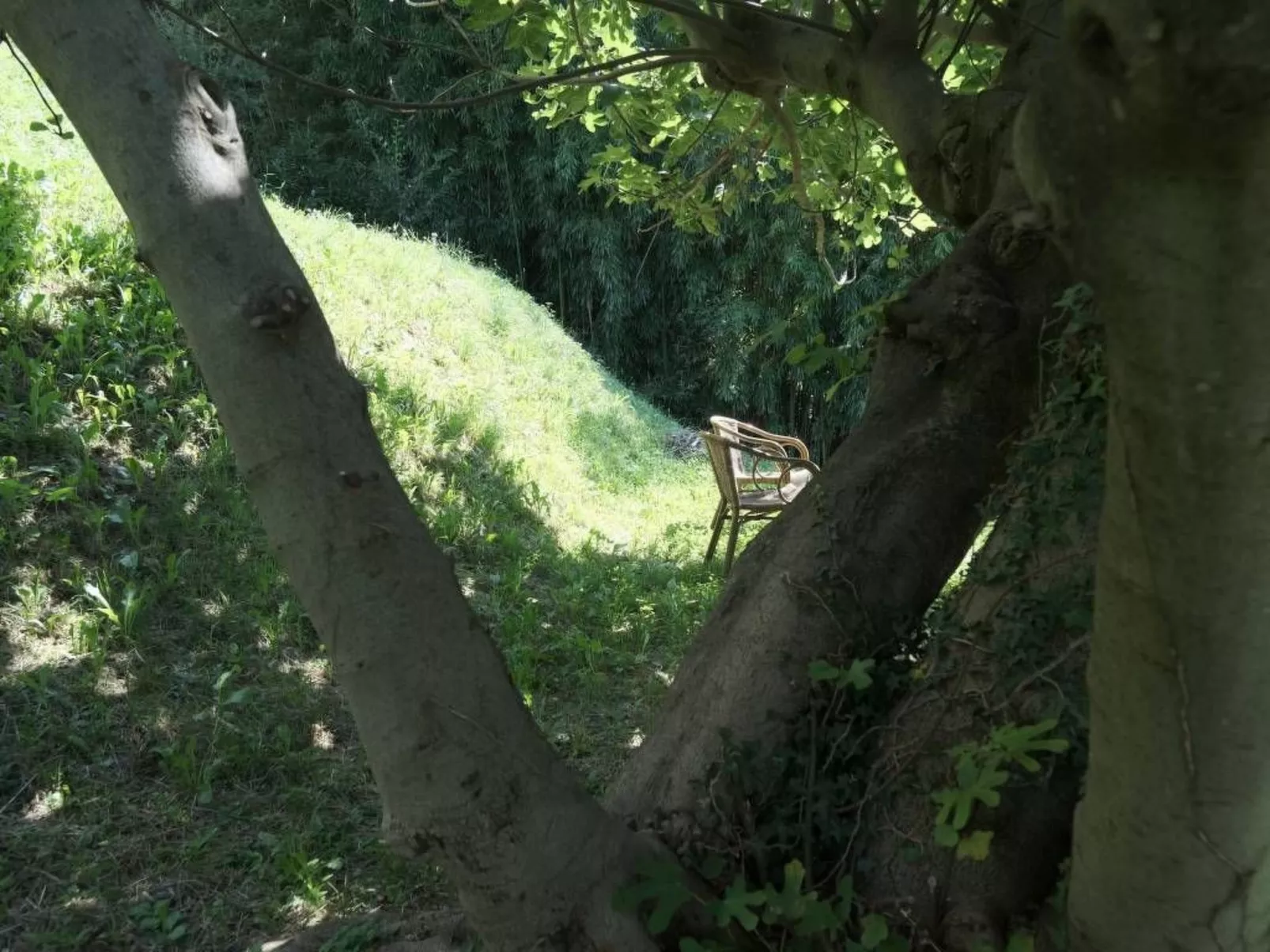 Casa-Cleo - Image-tags.info