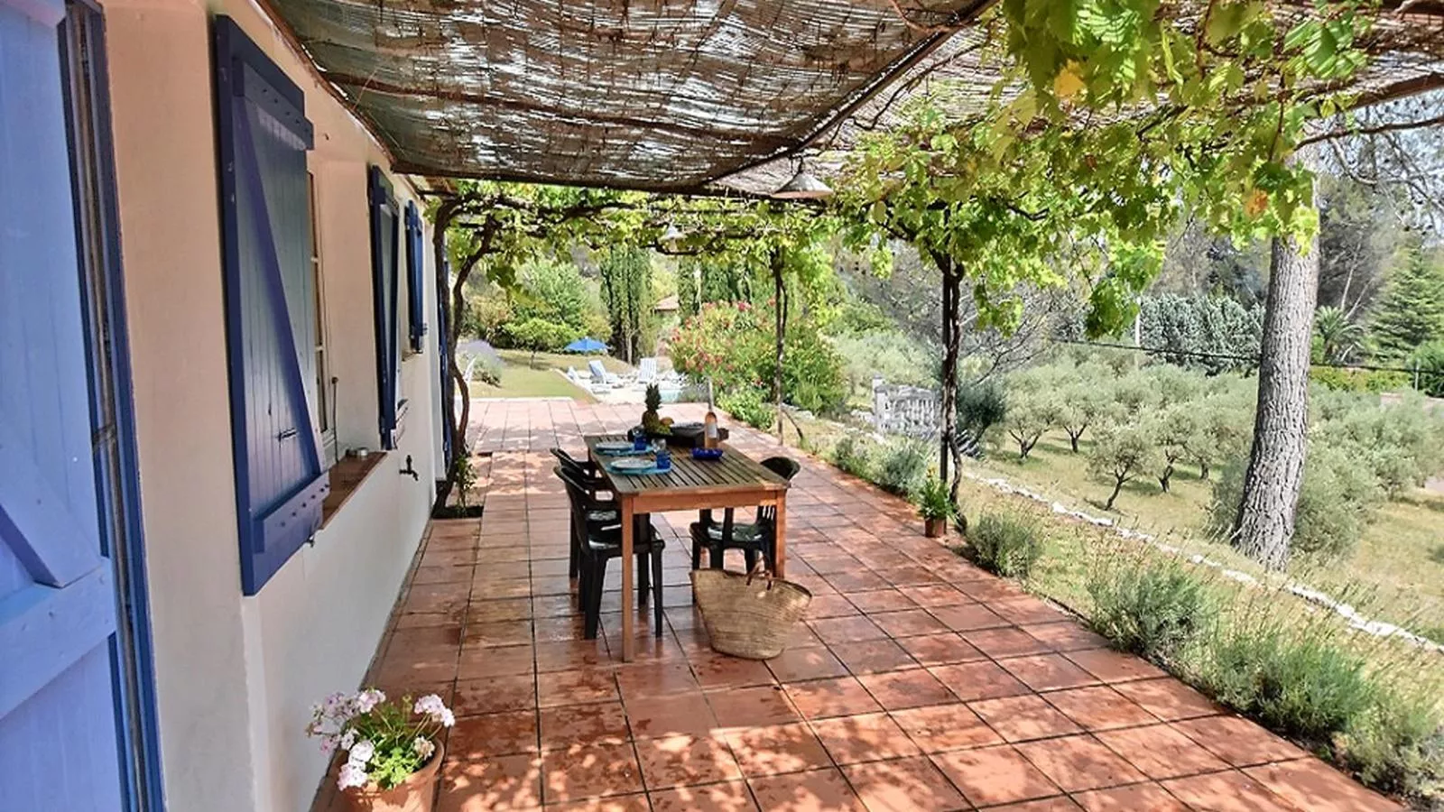 Lomandra - Terrace balcony