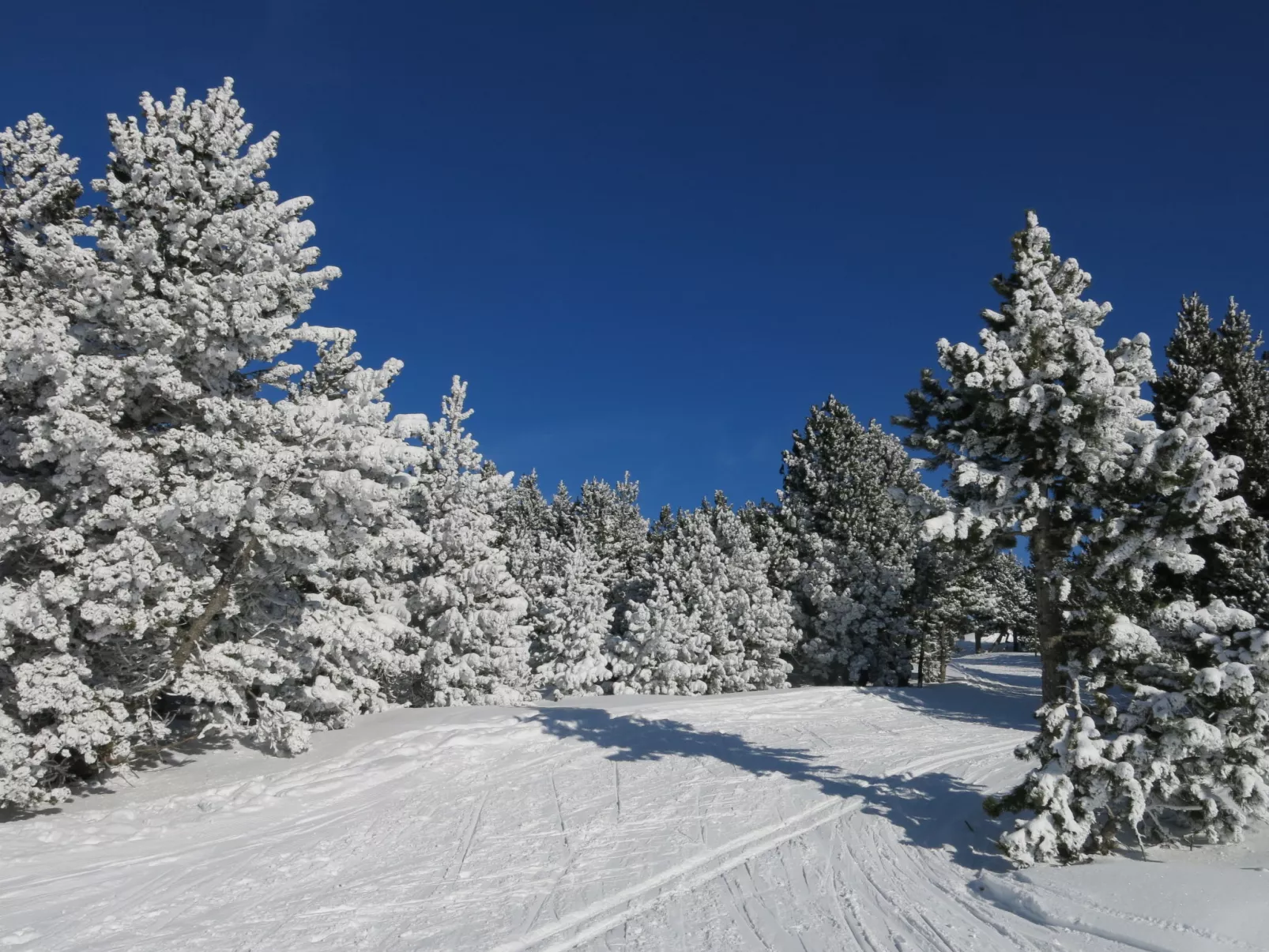 Appart Vacances Pyrénées 2000-Outside