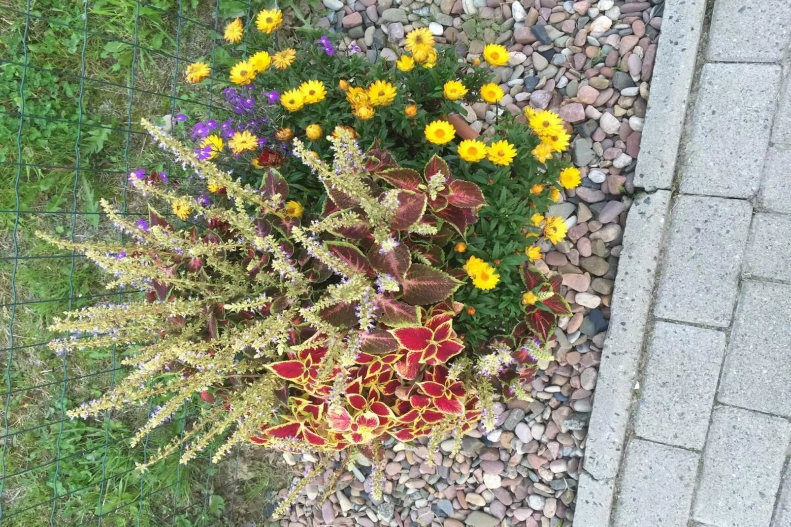 112041-Gardens in summer