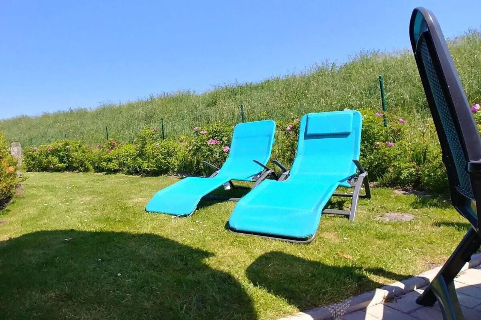 111107-Gardens in summer