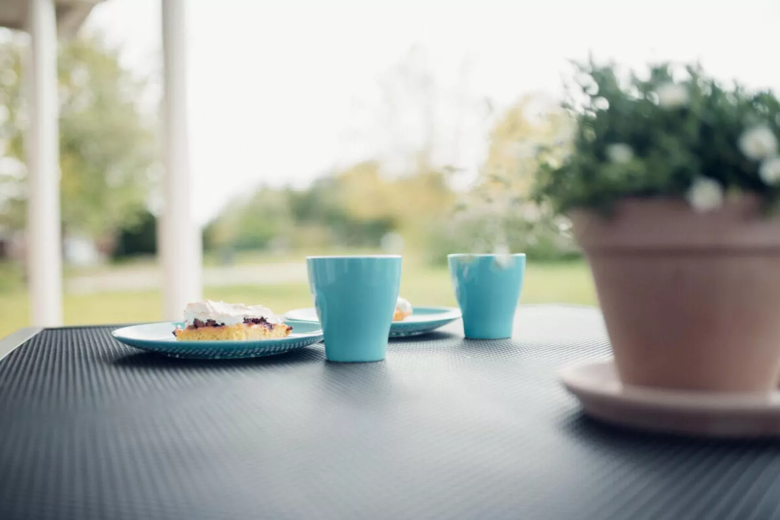 282204-View in summer