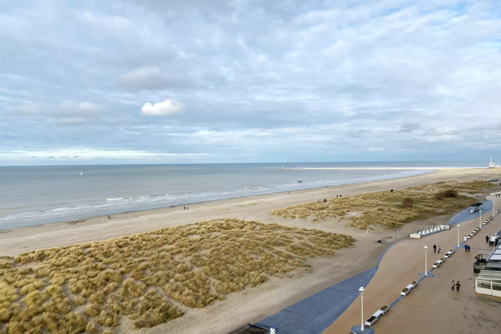 SUNFLOWER 0705GAR-Areas within 1km in summer