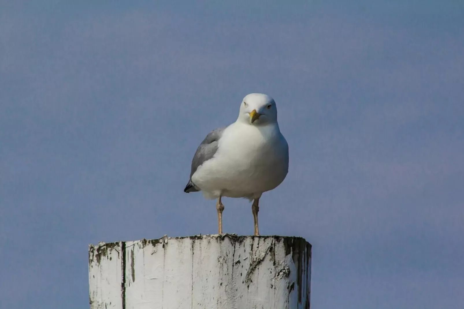 382021-Areas within 5km in summer