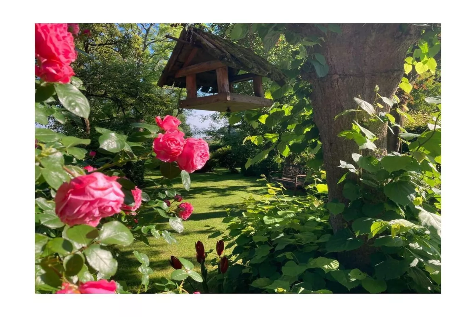 389318-Gardens in summer