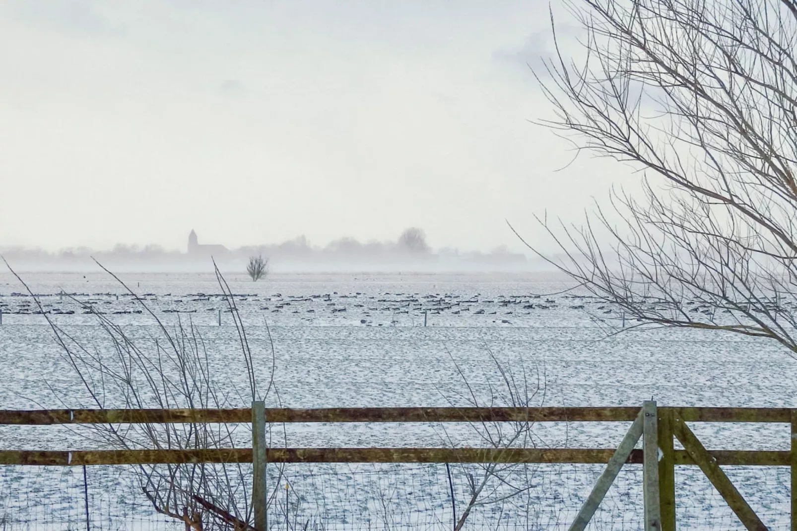 227168-Areas within 1km in summer