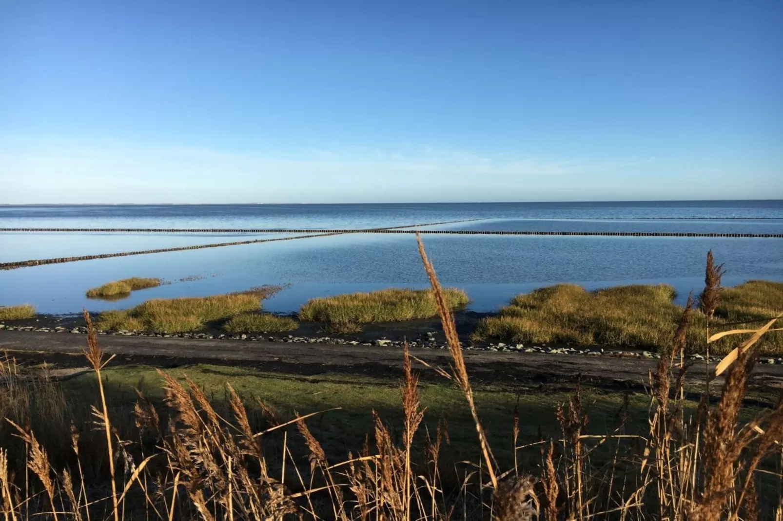 139423-Areas within 5km in summer