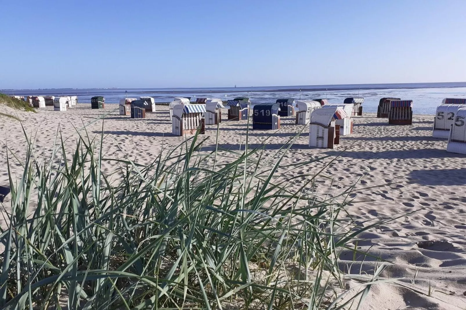 26681-Areas within 5km in summer