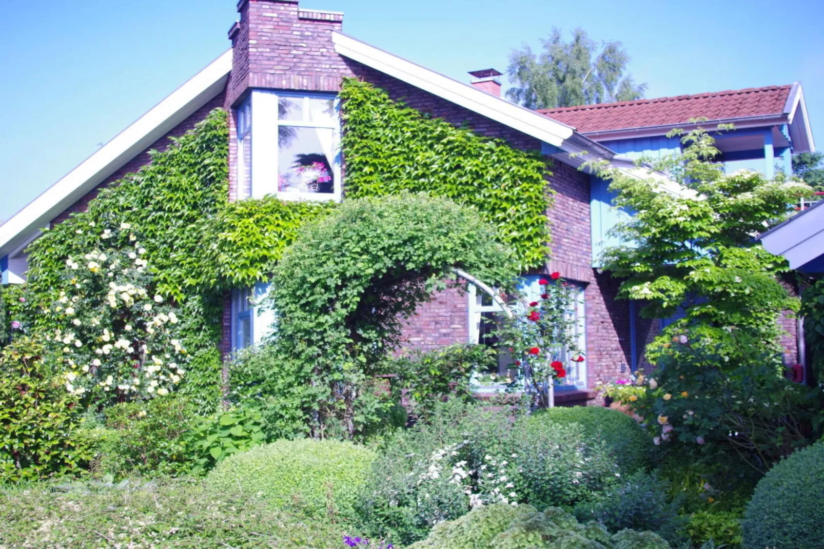 259581-Exterior in summer