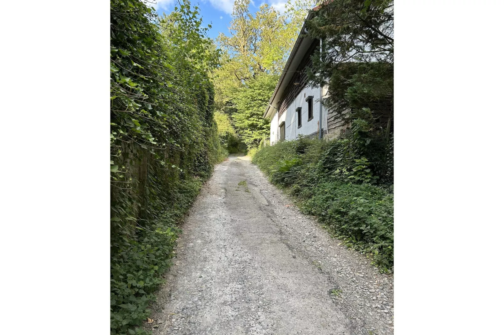 L'Ecureuil Blanc-Areas within 1km in summer