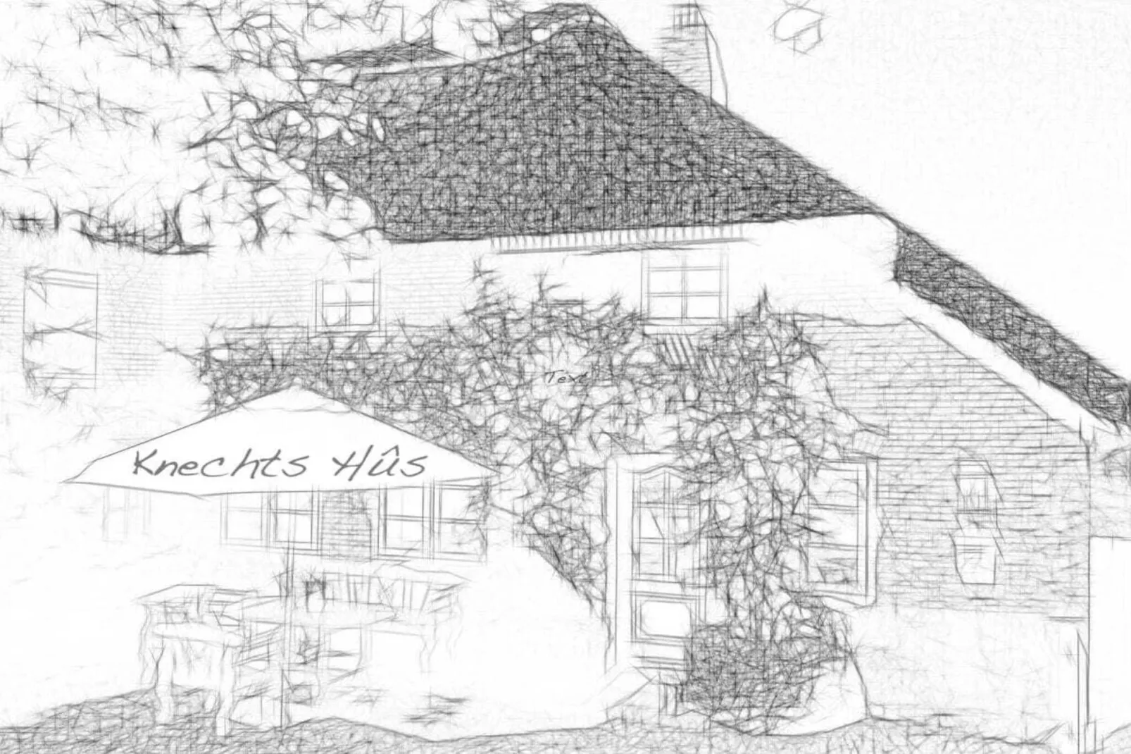 573535 - Extérieur été