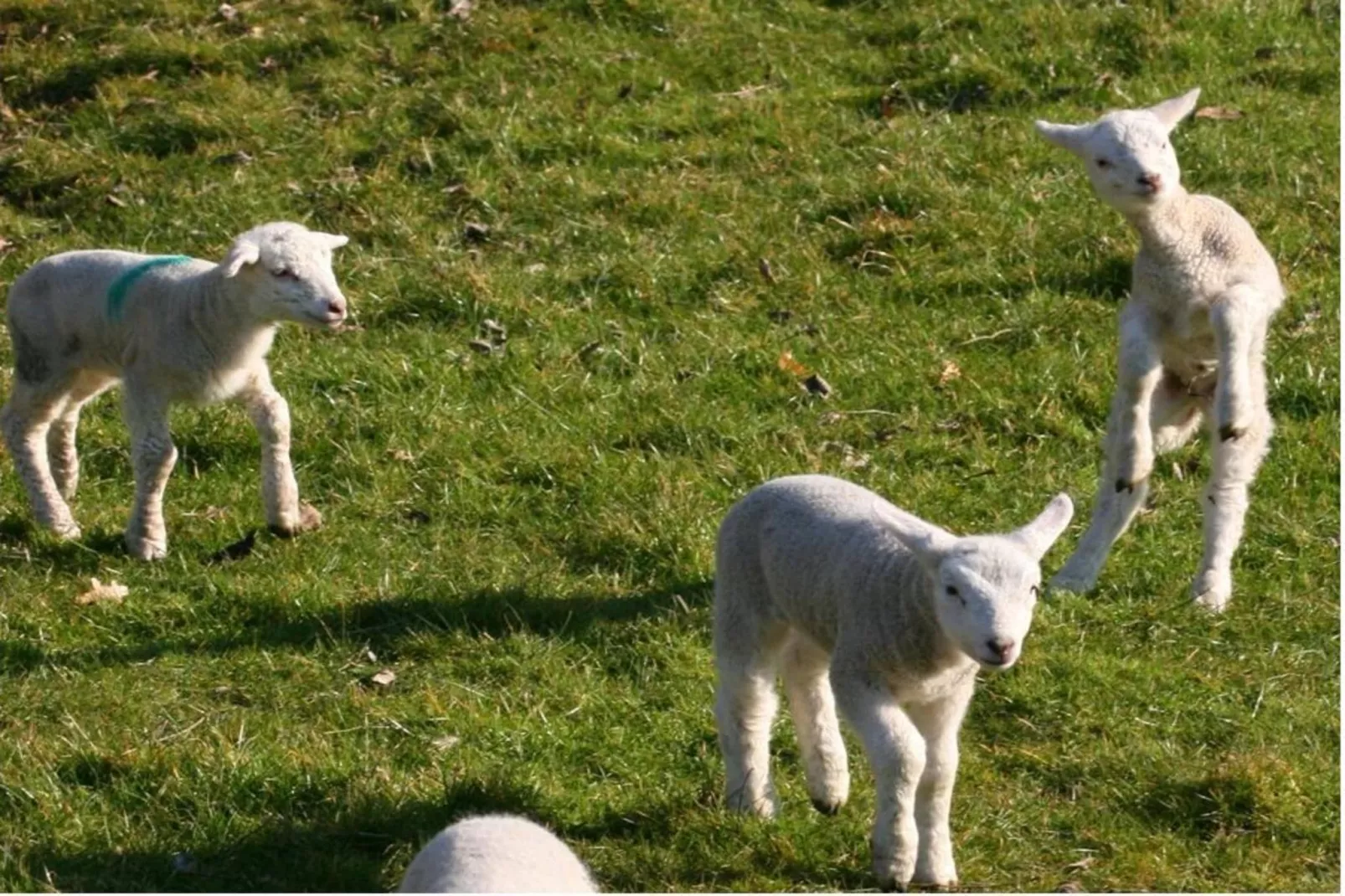 604284 - Extérieur été