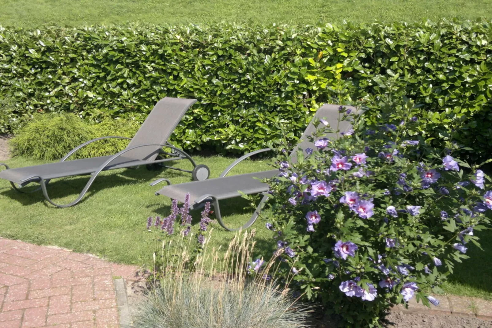 703967 - Jardins en été