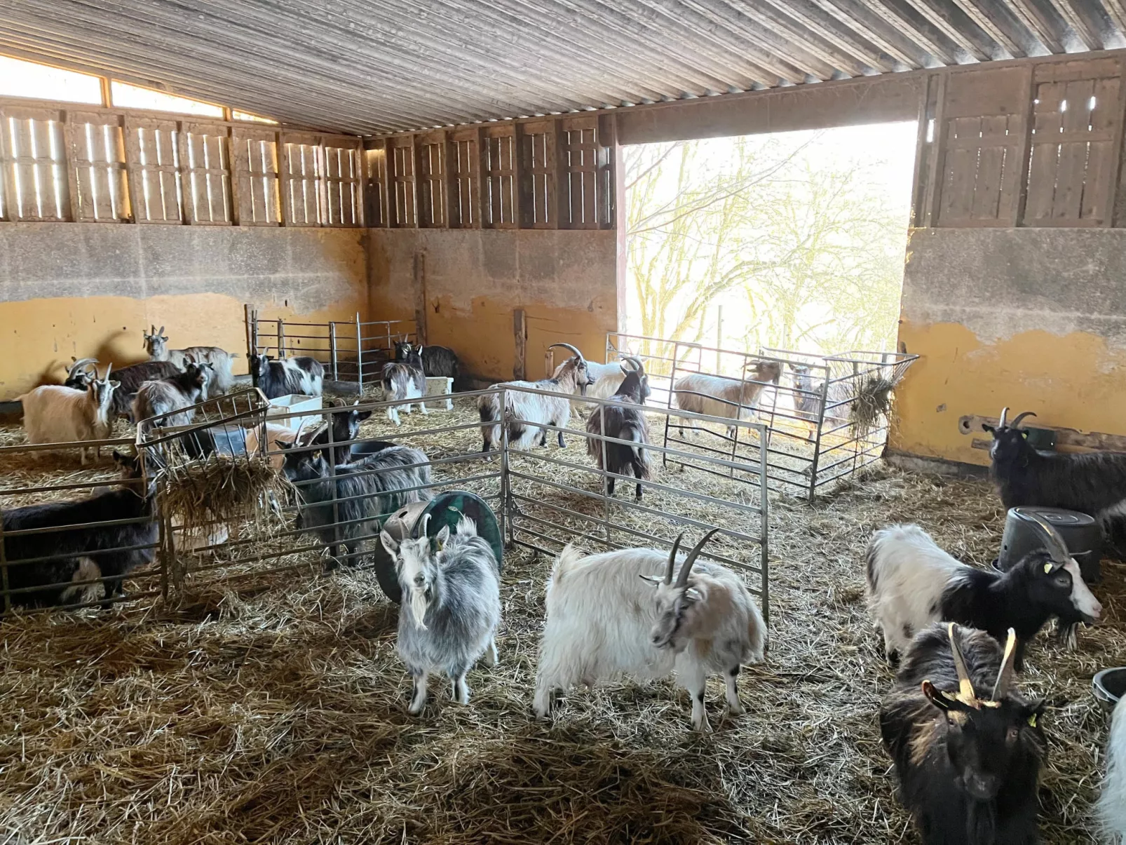 Orranäsgården-Outside