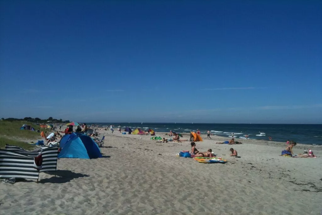 101641-Nicht zugeordnet