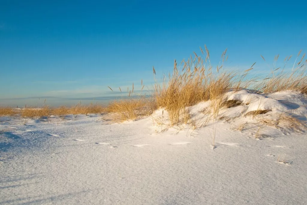 273134-Nicht zugeordnet