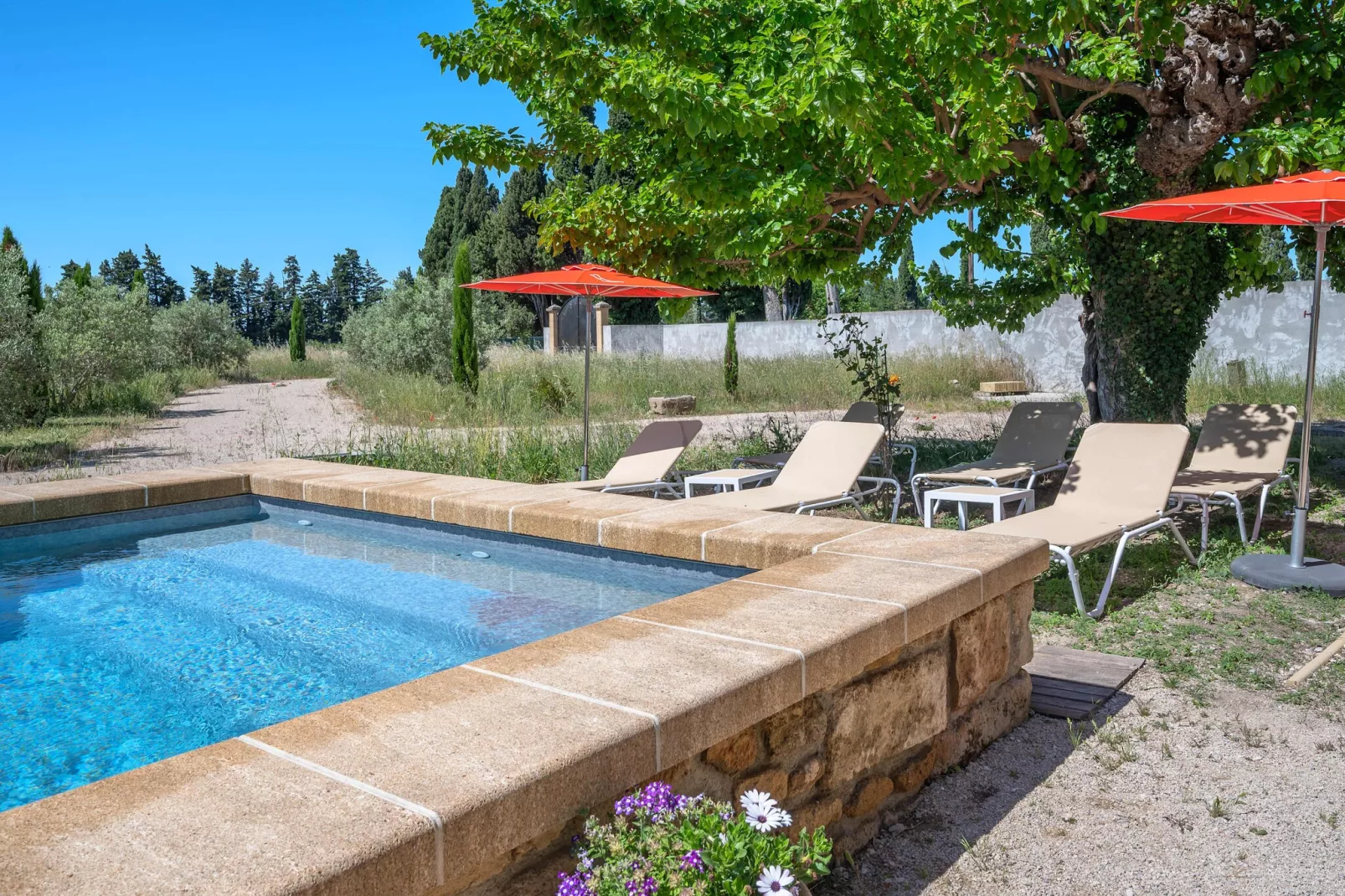 Mas du Mûrier-Piscine