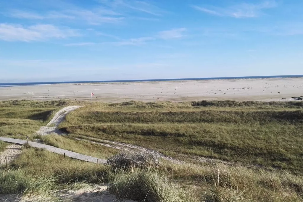 205143-Nicht zugeordnet