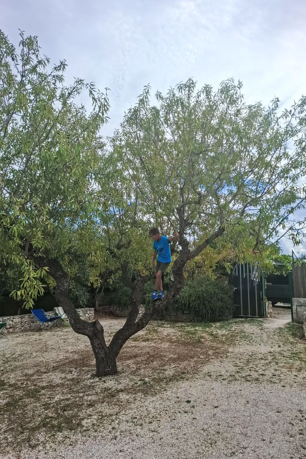 Agriturismo Salinola da Fabio&Paola - Dehors