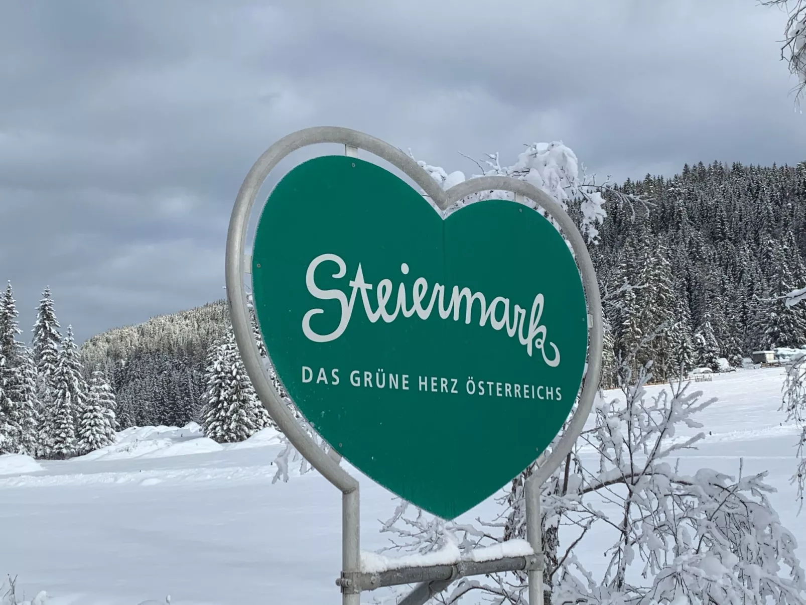 Chalet Elsa Murau - Draußen