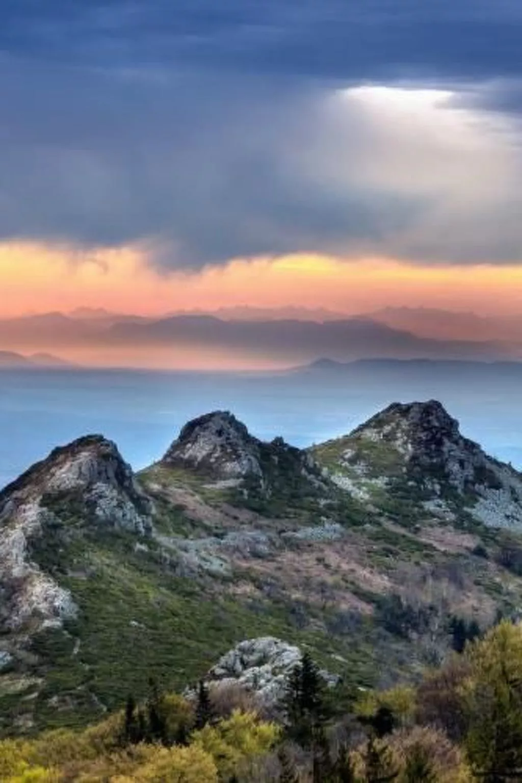 Die Ufer der Rhone - Image-tags.info