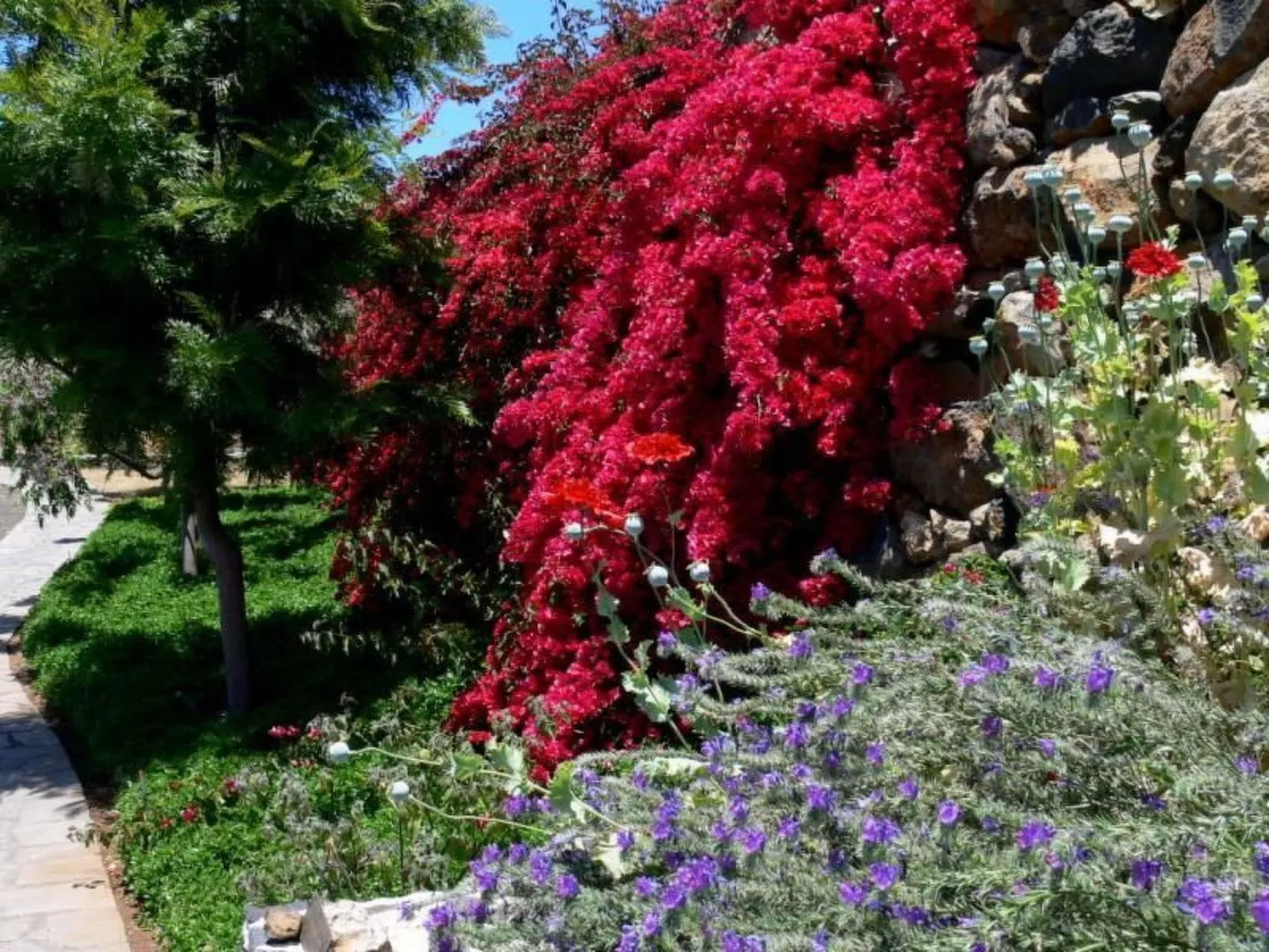 Anspruchsvolle Ferienvilla mit Panoramablick - Image-tags.info