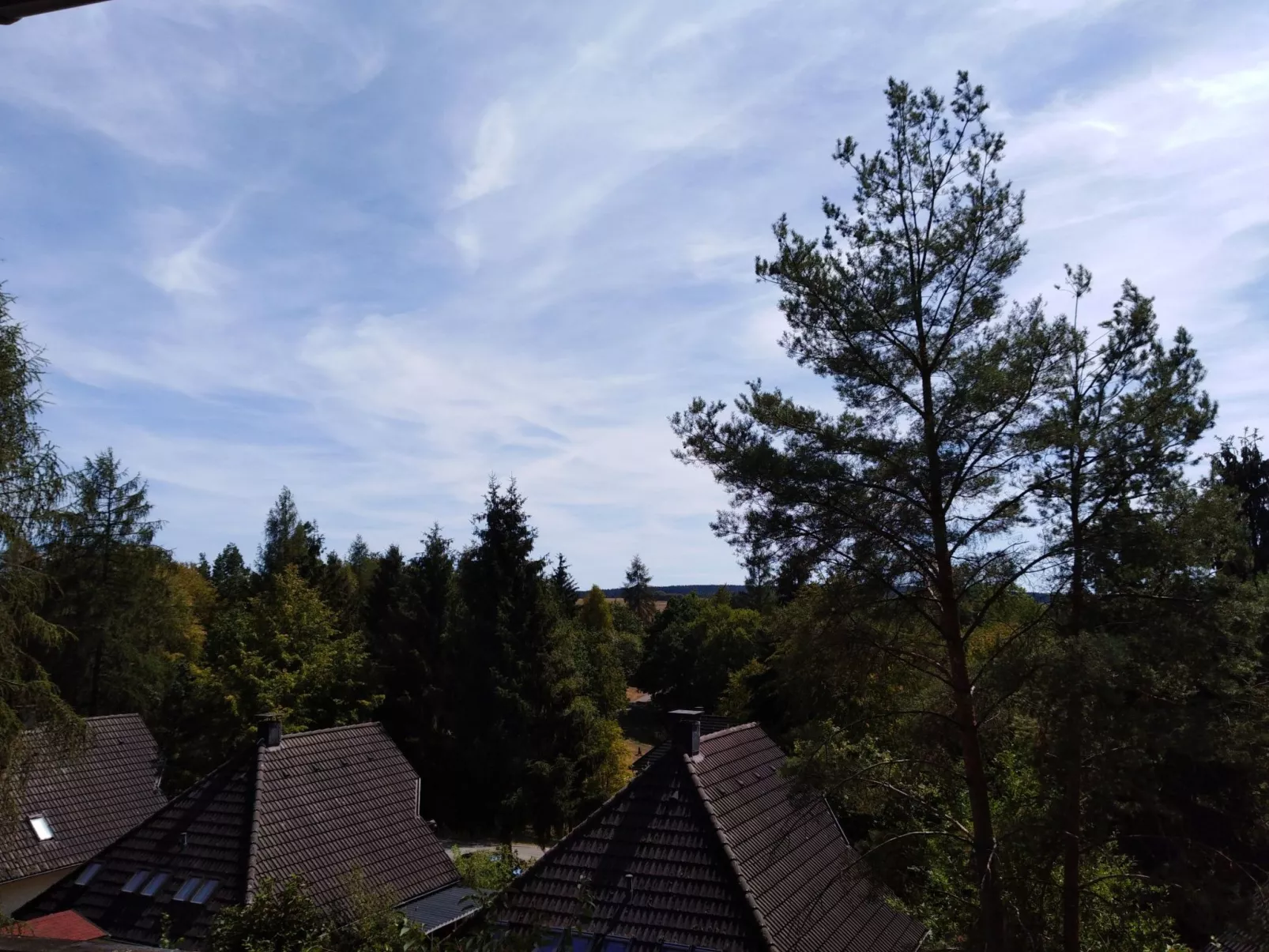 Appartement in Feriendorf Frankenau - Drinnen