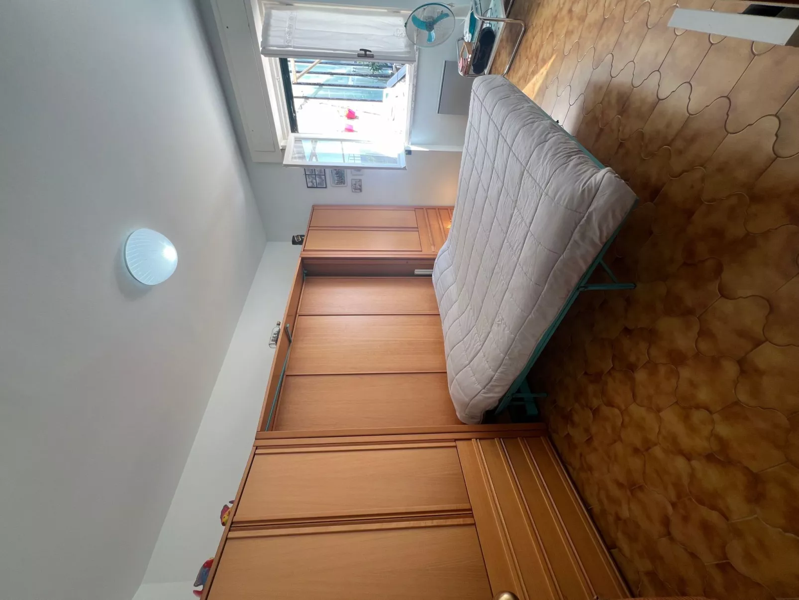 Pitosforo - Image-tags.info