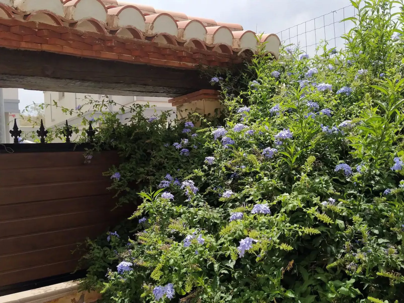 Helles Haus mit Aussicht und privatem Pool - Image-tags.info