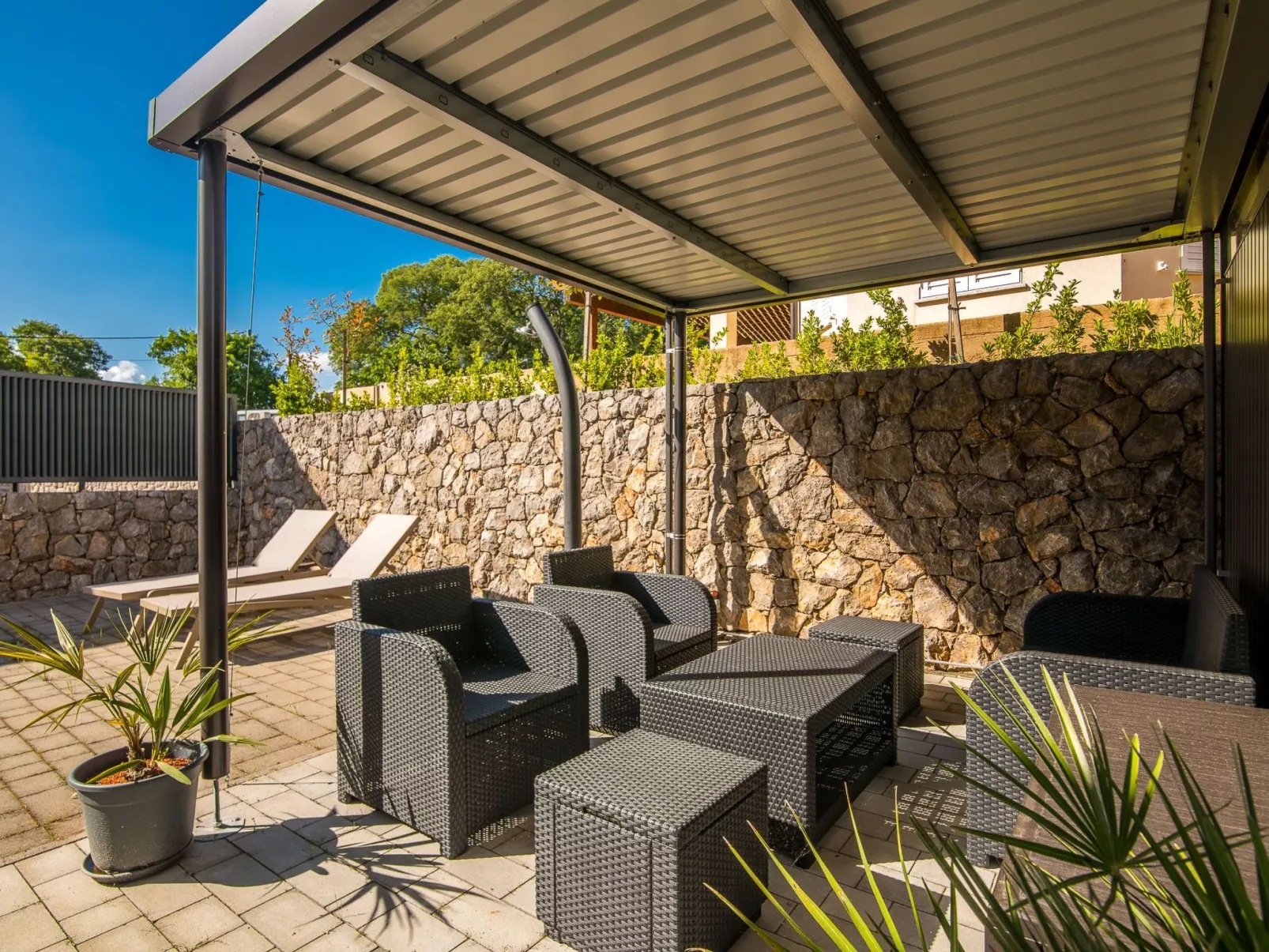 Nemo - Image-tags.info