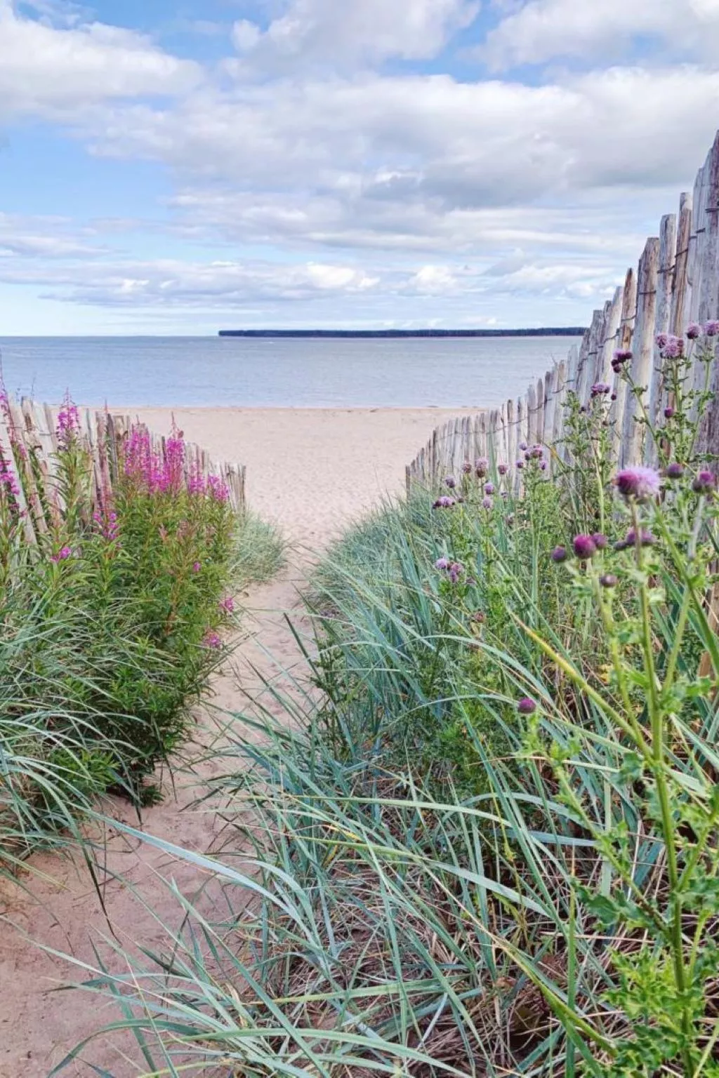 "Die Mündungswohnung" - Image-tags.info