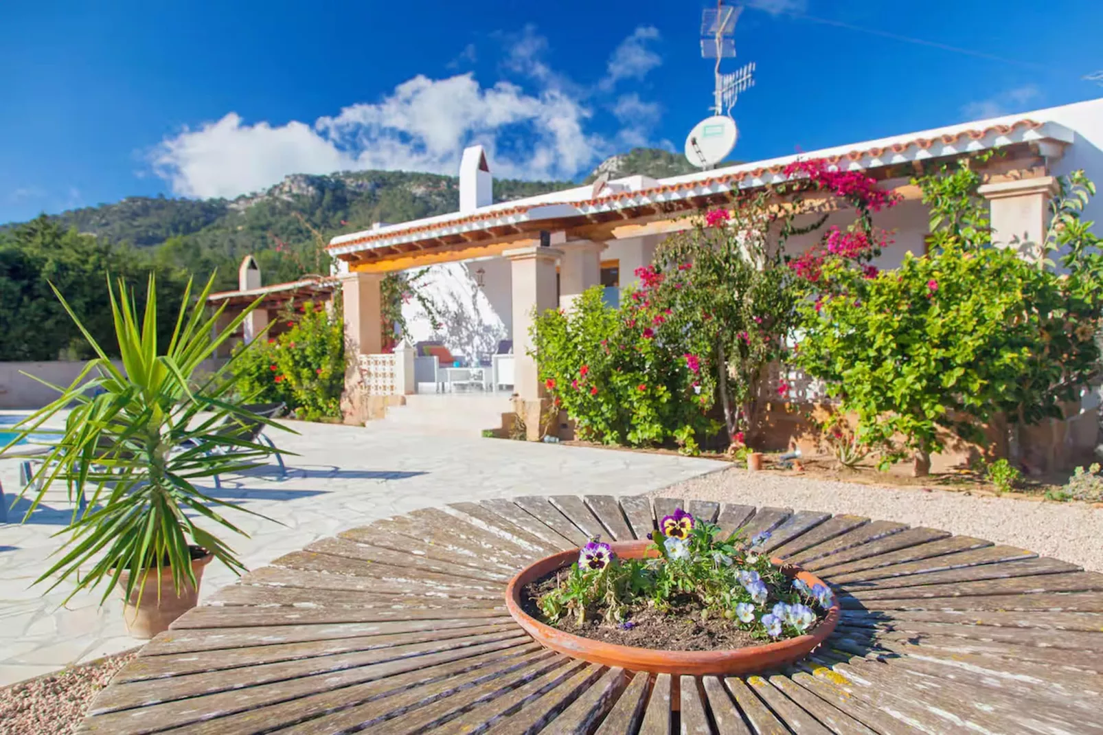 Casa Estrella - Gardens in summer