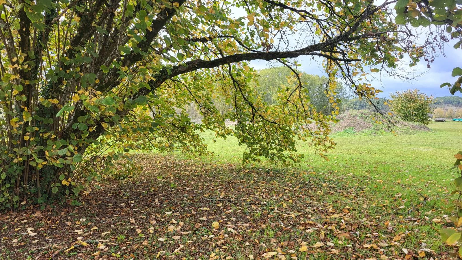 Maison des Prairies - Jardins en été