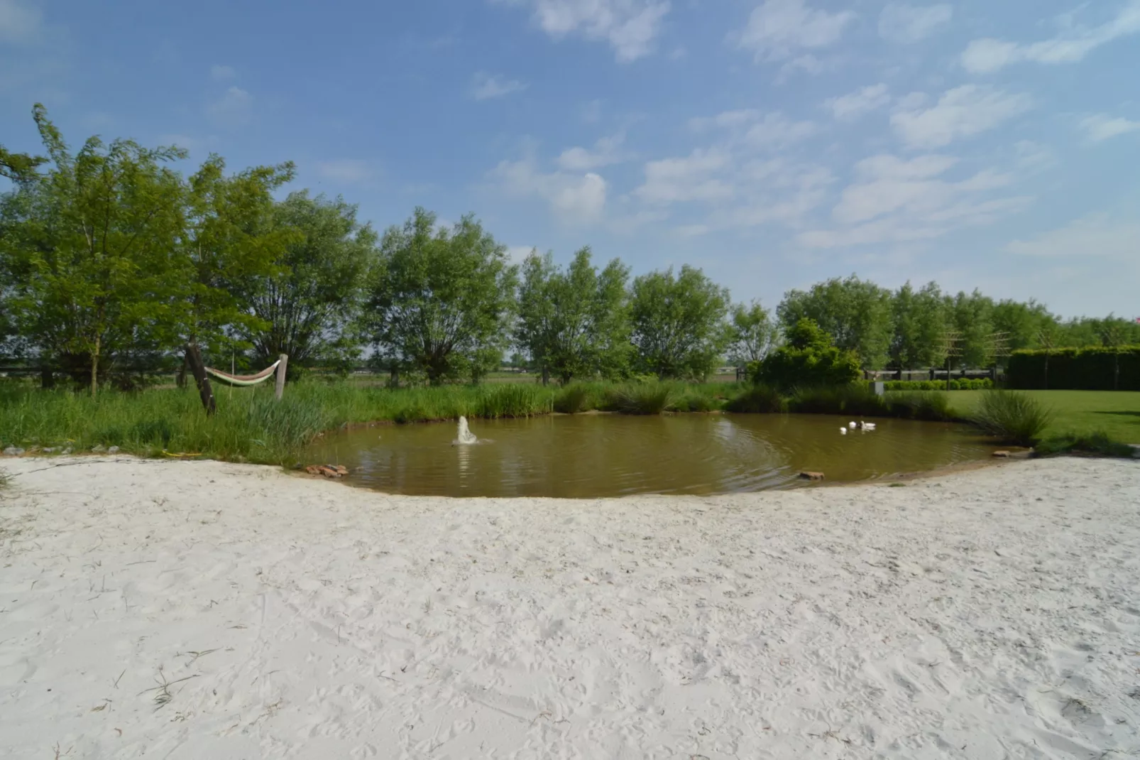 Ganzenweelde - Garten Sommer