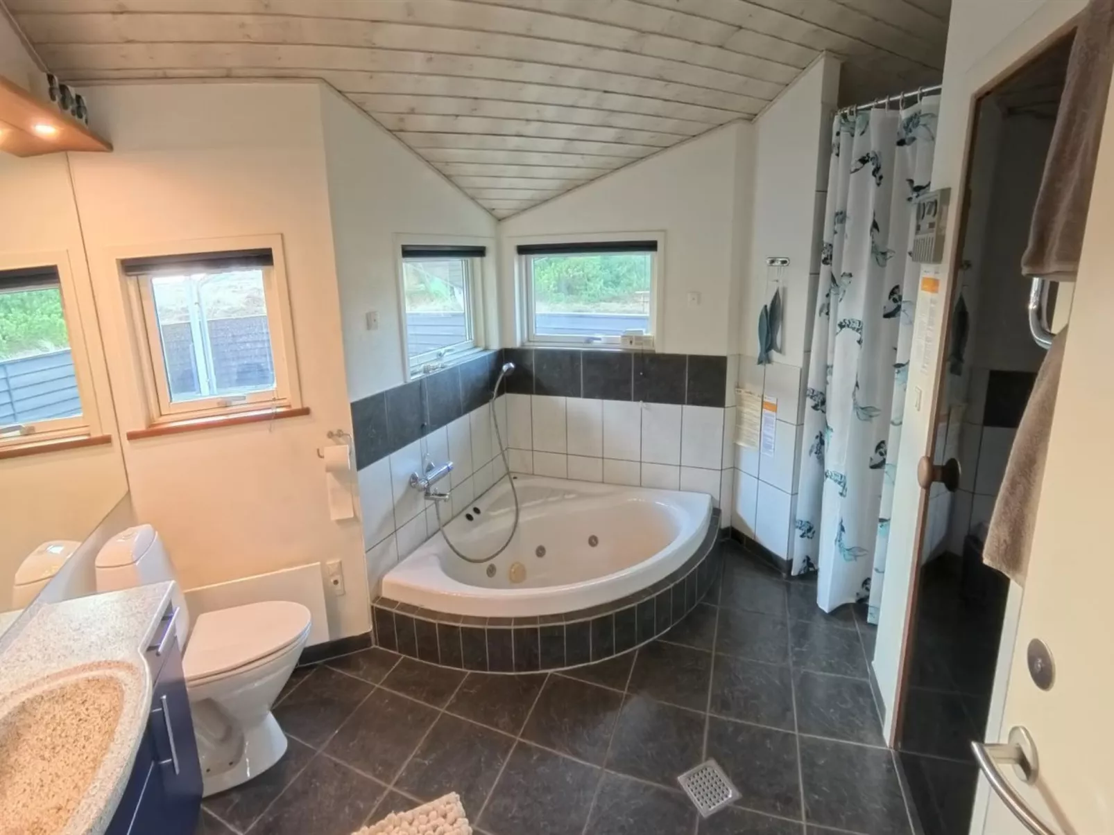 "Thrugils" - 800m from the sea-Inside