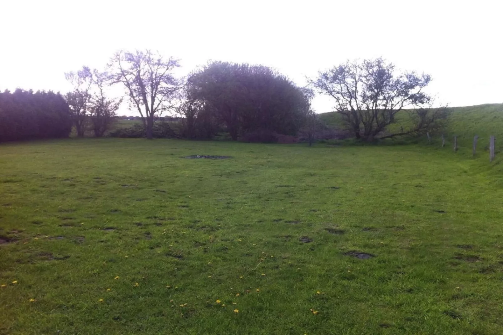 112041-Areas within 1km in summer